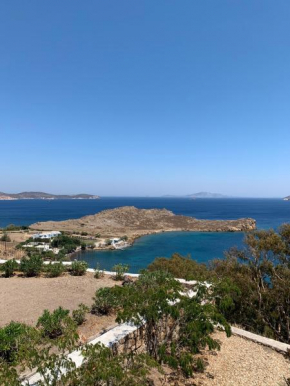 PATMOS Confidential